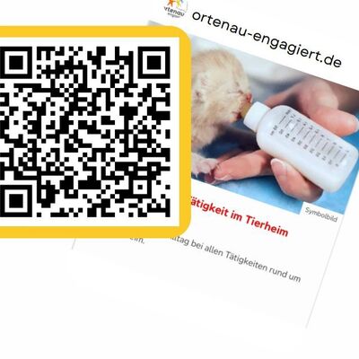 Titelbild Engagementfinder Mitteilung 05.02.26